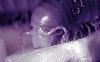 Millipede hoodie (infrared)