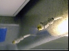 Nozzles in action