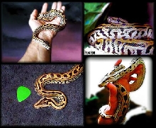My burm's baby pictures
