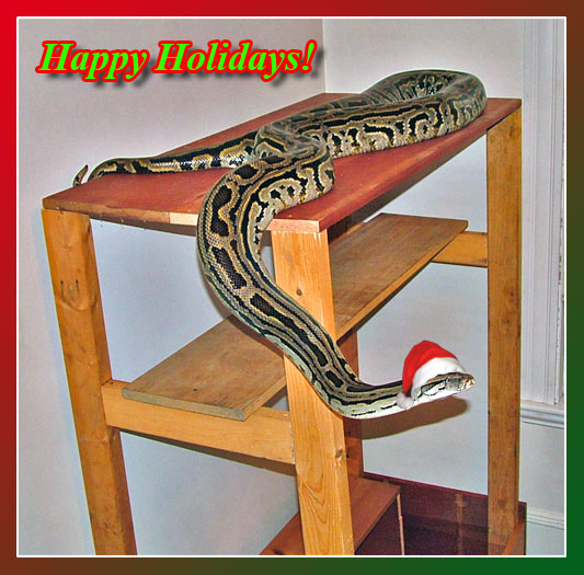 Happy Holidays!