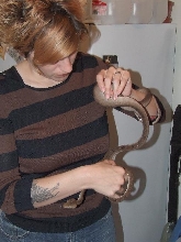 Eponine