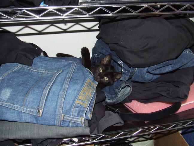 Gaia in jeans