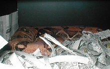Zahara gravid in 06