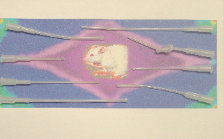Plastic feedding needles