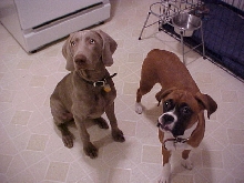 Shelby and Lexy