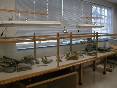 Classroom Desert Vivarium