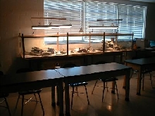 Desert Vivarium