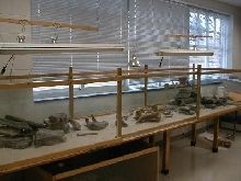 Classroom Desert Vivarium
