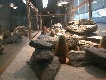 Inside view of classroom vivarium