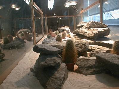 Inside view of classroom vivarium