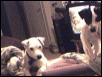 Bart and daughter maggie