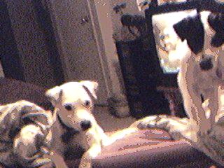 Bart and daughter maggie