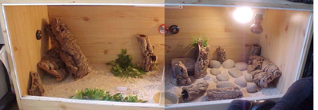 Viv Setup