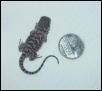 hatchling