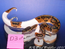 D3 male SOLD