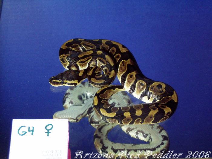 G4... SOLD...