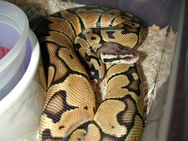 leroy 2