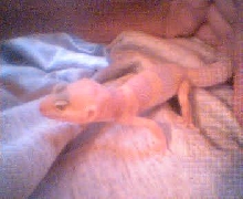My New Baby Leo 3