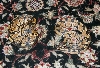 pair of ball pythons