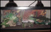 Tank Picture