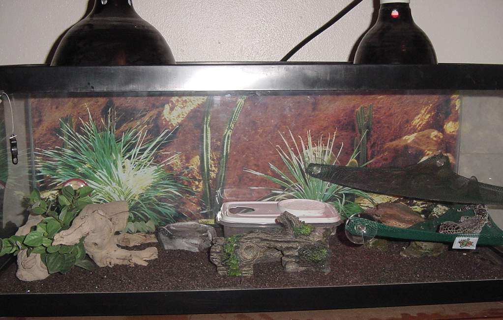 Tank Picture