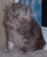 Benny