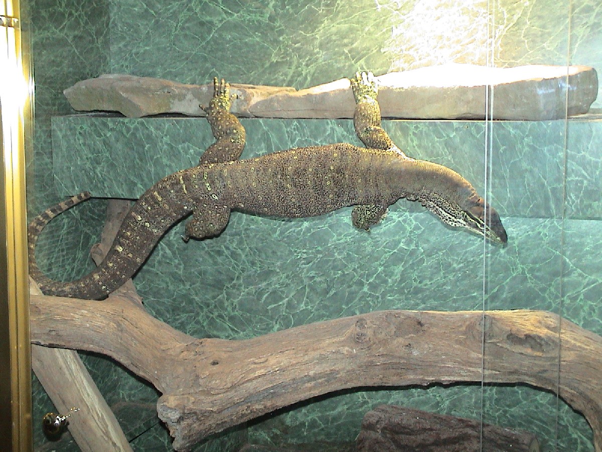 Hangin' around