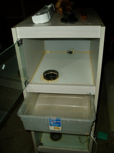 new cage