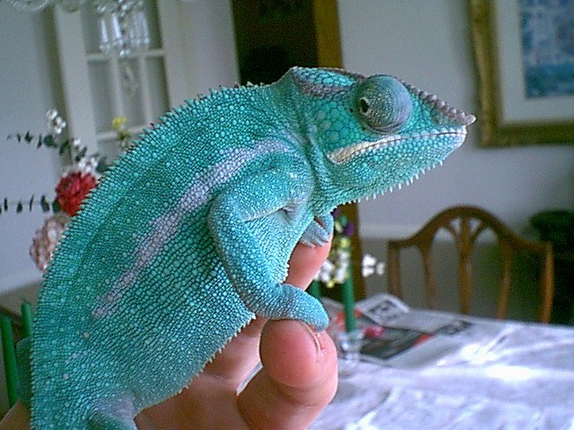 Nosy Be