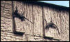 Pair on neighbor's wall
