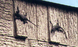 Pair on neighbor's wall