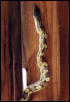 Snake in shed 2