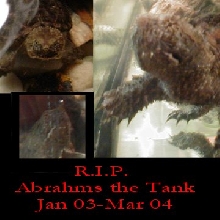 R.I.P. Abrahms
