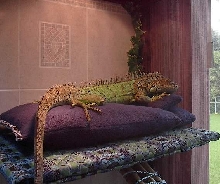 now this is comfy!