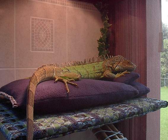 now this is comfy!