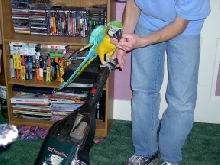 I LOVE TO RIDE THE SWEEPER DAD!