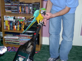 I LOVE TO RIDE THE SWEEPER DAD!
