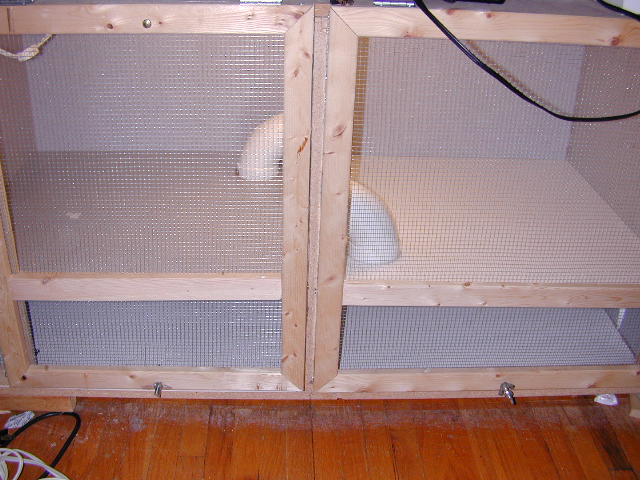 new cage
