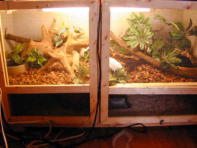 new cage (decorated)