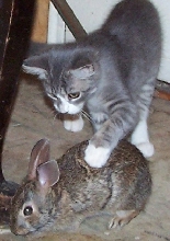 me and my bun