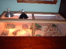 The Uros' New Home