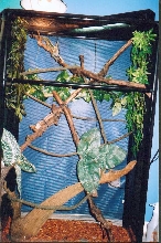 Ichiro's Enclosure