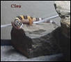 Cleo