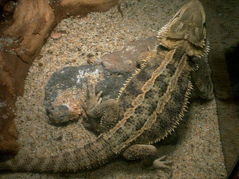 Top View