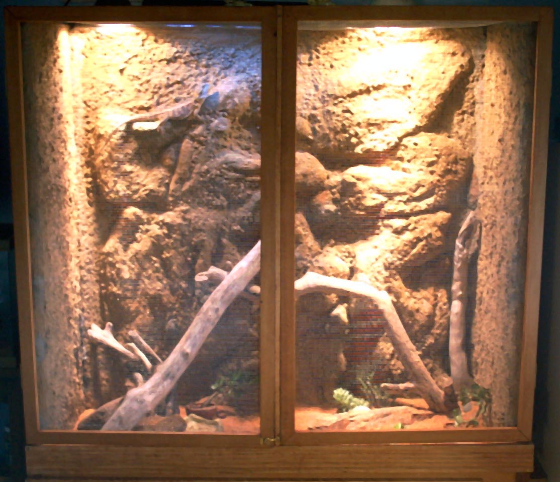 The Cage That I Built!