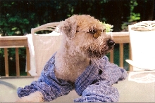 Chuie with glasses