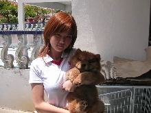 My Lover and My Lovely Dog