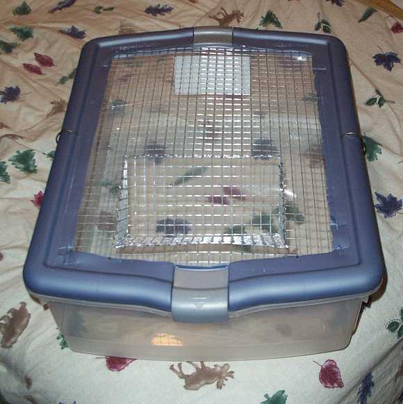 Homemade Rat Bin