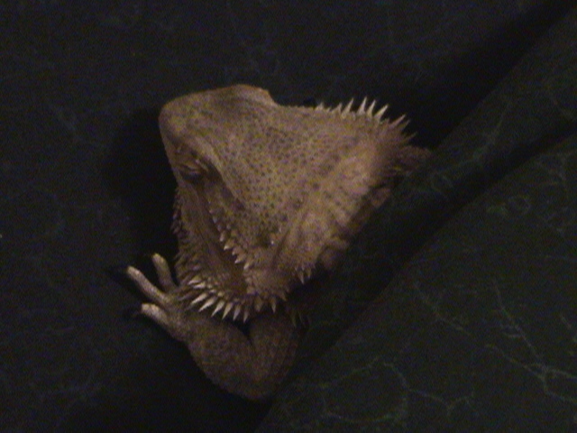 Sleepy baby2