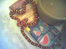 Kaya - Thayeri Kingsnake